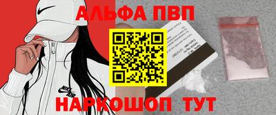 крисы Кингисепп