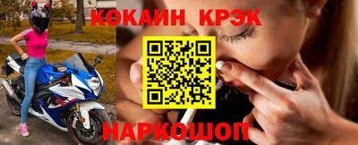 крисы Кингисепп