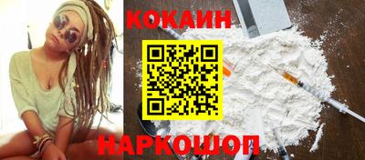крисы Кингисепп