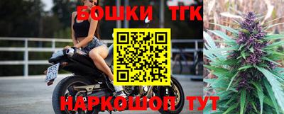 крисы Кингисепп