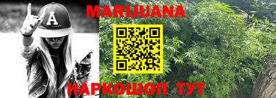 крисы Кингисепп