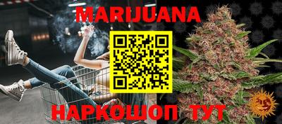 крисы Кингисепп
