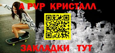 крисы Кингисепп