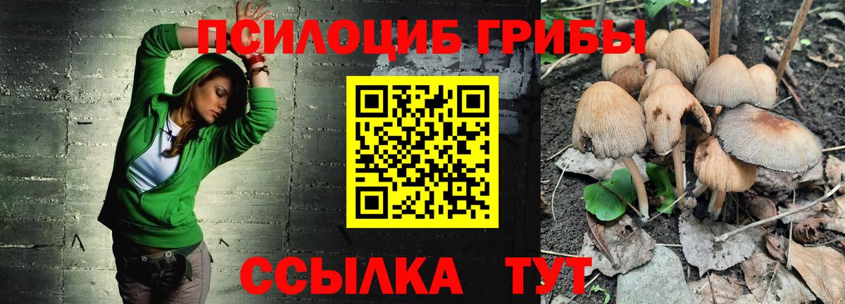 Галлюциногенные грибы Psilocybe  Вход с VPN  Усть-Джегута 